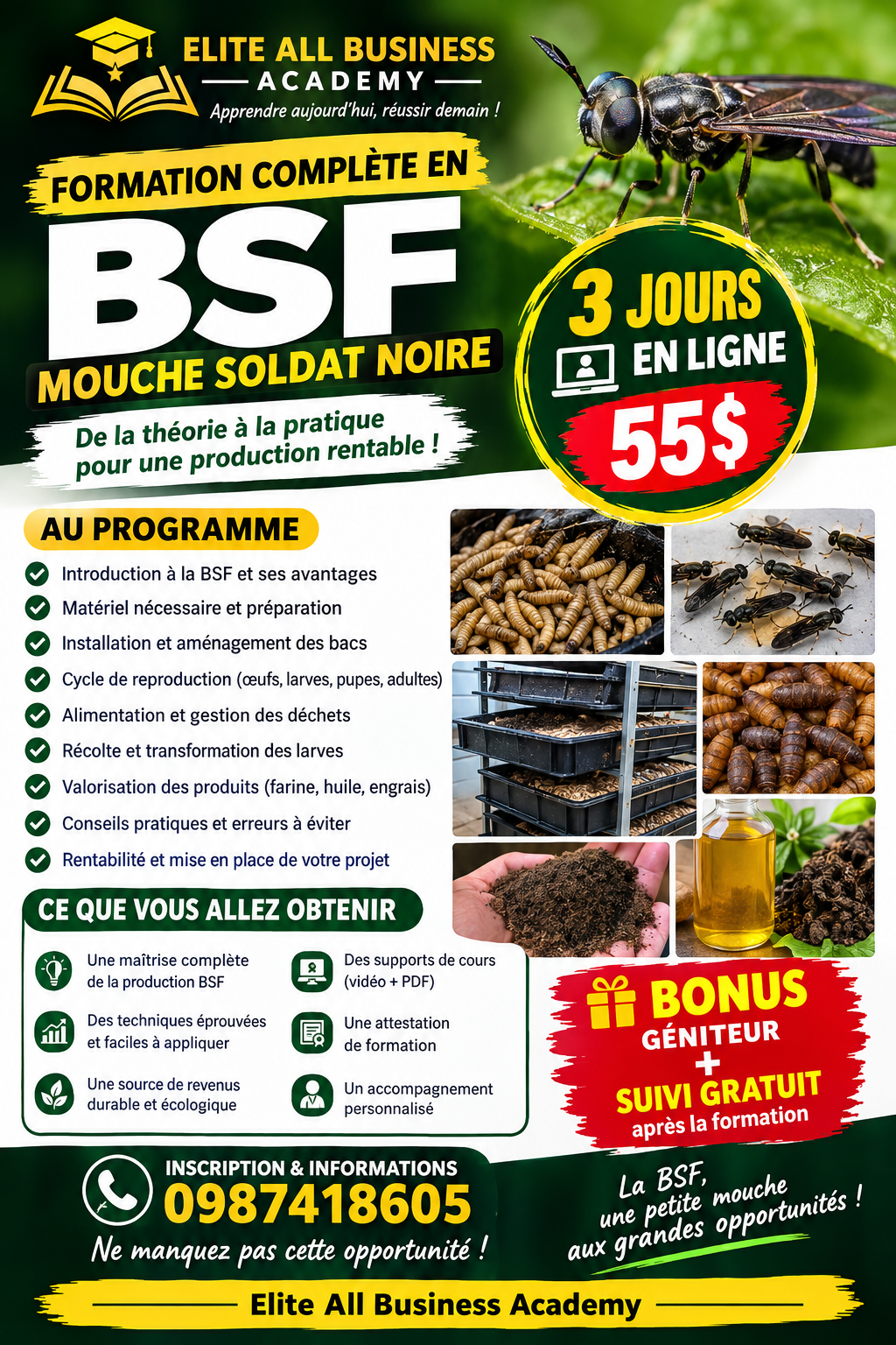 Formation complète en mouche soldat noire (BSF)